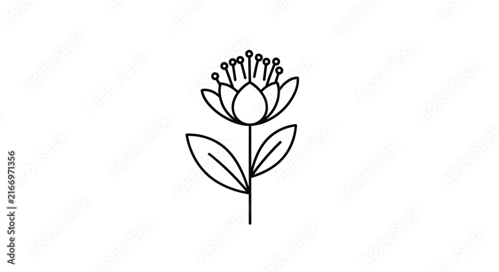 Obraz premium Minimalist line art illustration shows a single flower on a stem with two leaves, drawn with clean black outlines on a white background.