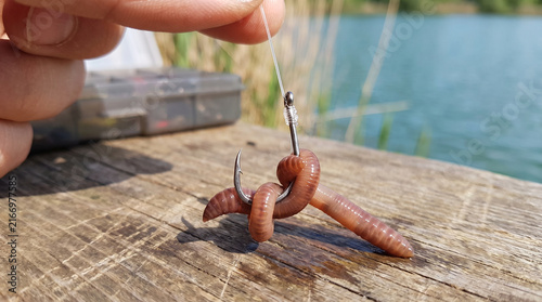 Fisherman holding a worm impaled on a fishing hook by the lake  