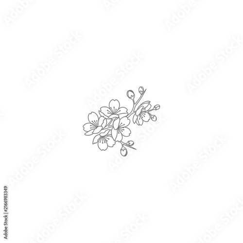 Isolated delicate flower branch sketch
