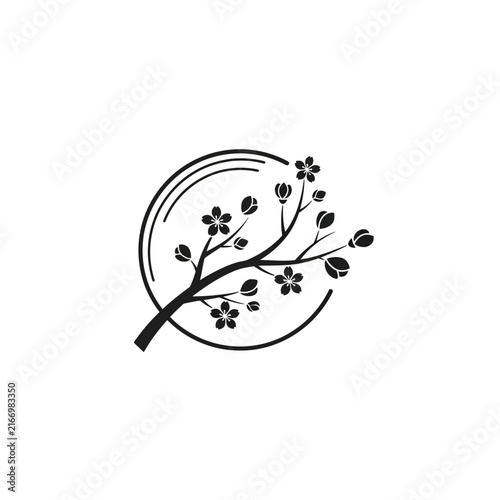 Isolated cherry blossom branch in circle