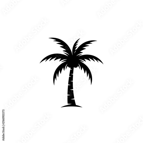Isolated palm tree silhouette
