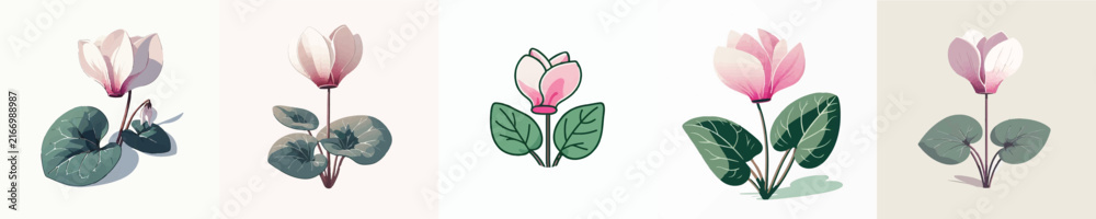 Fototapeta premium Cyclamen Flower Vector Illustration