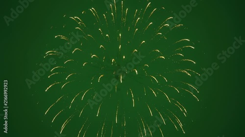 Golden Fireworks Exploding in Dark Green Sky.