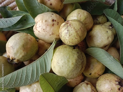 Fresh ripe guavas arranged with green leaves in a rustic basket, showcasing pale yellow-green fruit, natural textures, and farm-fresh produce for healthy food and agriculture themes.