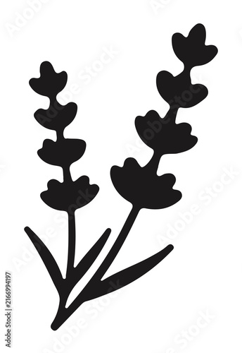 Minimalist lavender flower sprig silhouette vector graphic