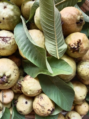 Fresh ripe guavas arranged with green leaves in a rustic basket, showcasing pale yellow-green fruit, natural textures, and farm-fresh produce for healthy food and agriculture themes.