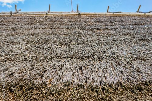 Thatched roof