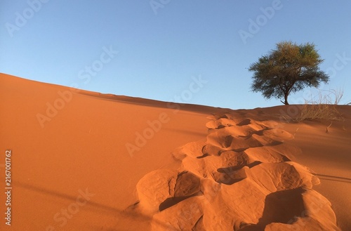 Elim Dune in the Namib Desert, Namibia