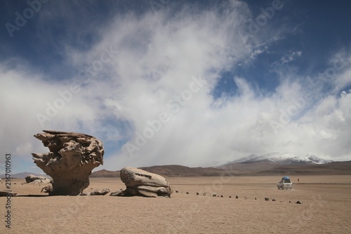 Cuadro en lienzo Árbol de Piedra (Stone Tree) in the Siloli Desert, Bolivia