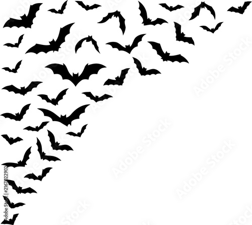 Konstfotografi A collection of bat silhouettes against a white background