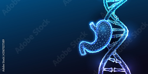 DNA Double Helix Stomach Gastric Cancer Genetics Crohn Glowing Blue Polygonal Vector
