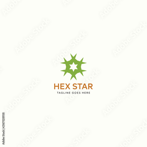 Hex Star Logo Template Design