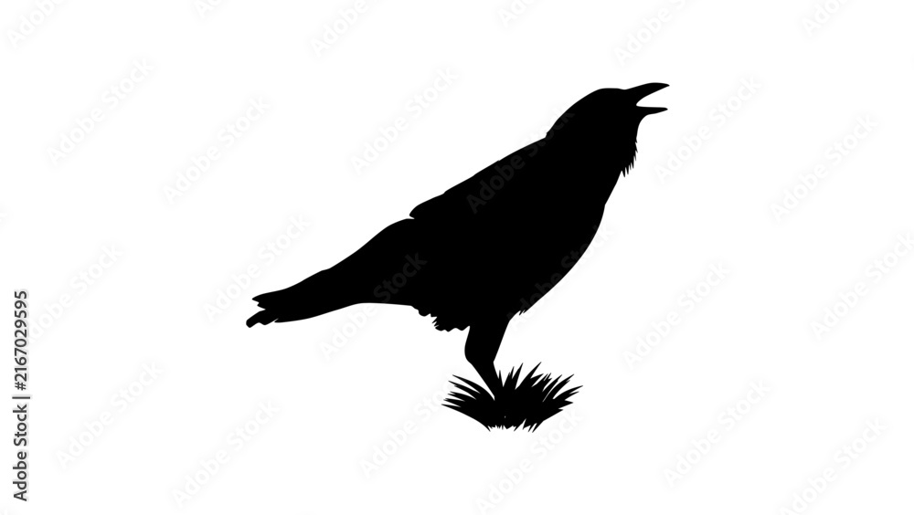 Naklejka premium crow symbol, black isolated vector silhouette