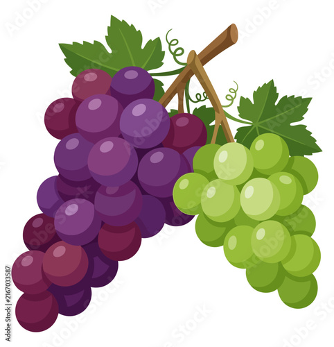 Bunch of ripe purple and green grapes with leaves isolated on white background