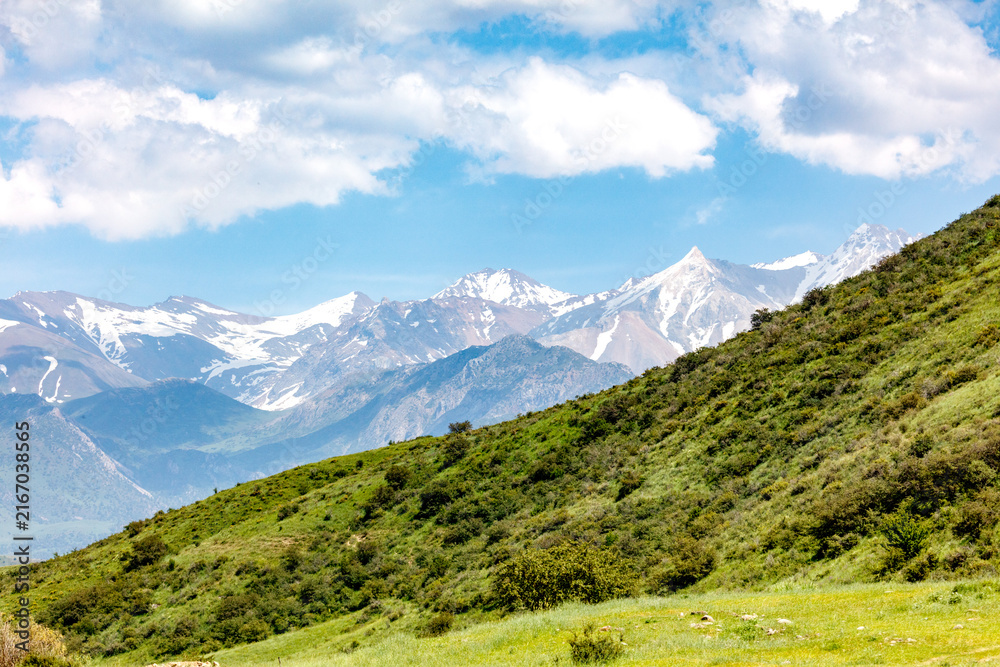 Fototapeta premium Lush green hills slope toward distant snow-capped peaks