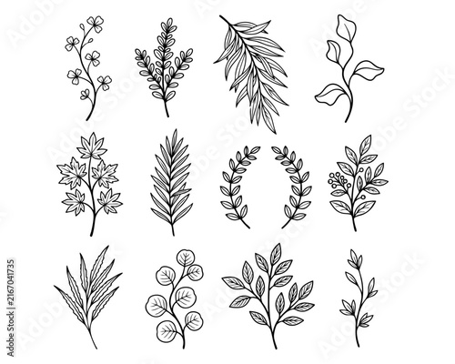 Botanical Leaf and Branch Elements – Hand Drawn Floral Vector Set