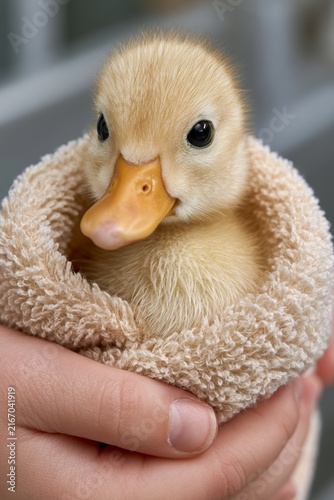Compassionate Farm Animal Rescue Scene with Child and Veterinarian