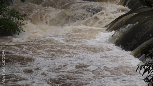 Rushing River Rapids: Brown water churns and foams as it rushes over rocks in a powerful river, creating energetic rapids in a wild natural setting.
