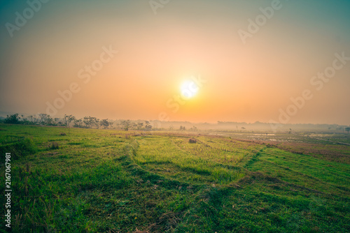 Misty sunrise over the field