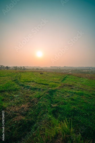 Misty sunrise over the field
