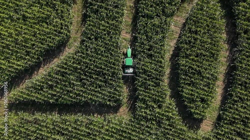 Aerial View of Tractor Trimming Paths in a Corn Maze at an Italian Agritourism Farm