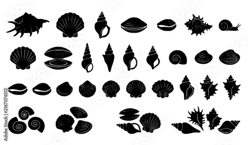 Obraz na plátně Assorted seashell black silhouette vector collection featuring spiral conch scal