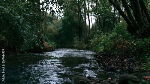 A serene forest stream flows gently through lush greenery under a canopy of trees with soft ambient lighting