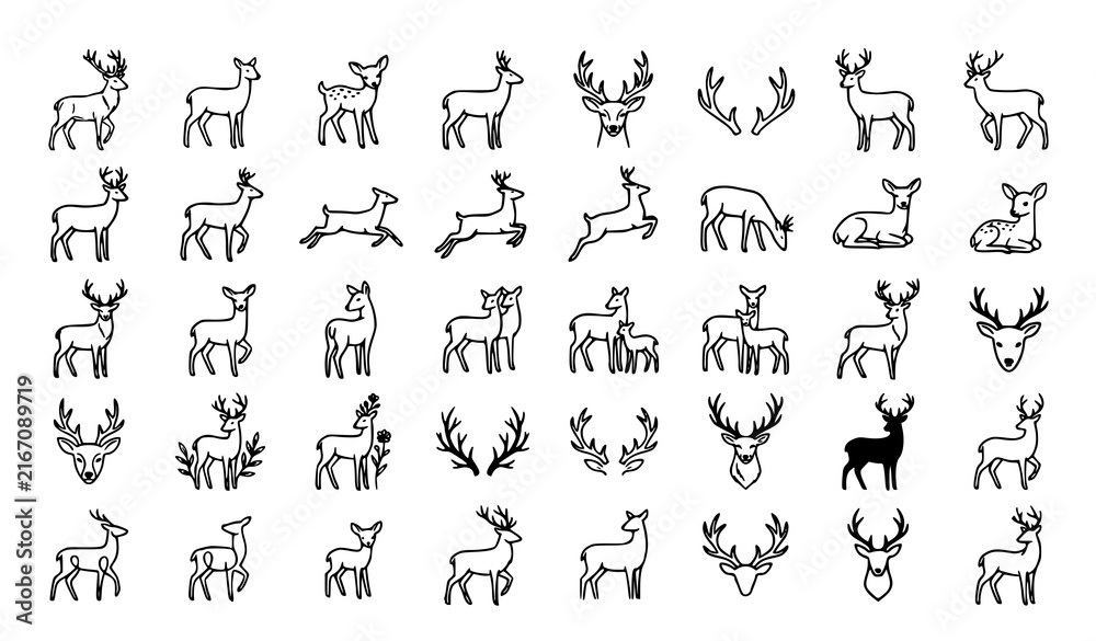 Obraz premium Set of hand drawn deer vector illustrations in black outline on white background with wildlife handdrawn illustration collection isolated woodland quadruped standing silhouette