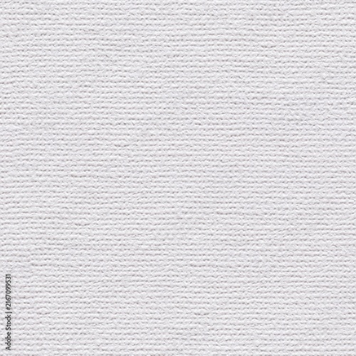 White primed artist canvas texture with fine woven weave