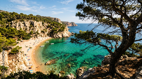 Beautiful Mediterranean beach cove with turquoise water and pine trees on a sunny summer day in Spain