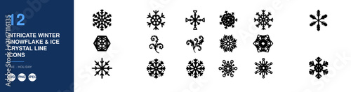Intricate Snowflake Icons Set, Detailed Winter Crystal Illustrations, Holiday Design Elements