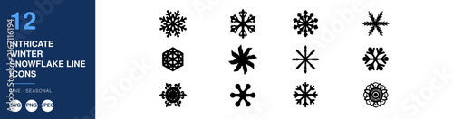 Intricate Winter Snowflake Line Icons Set, Detailed Design Elements. Seasonal Illustrations
