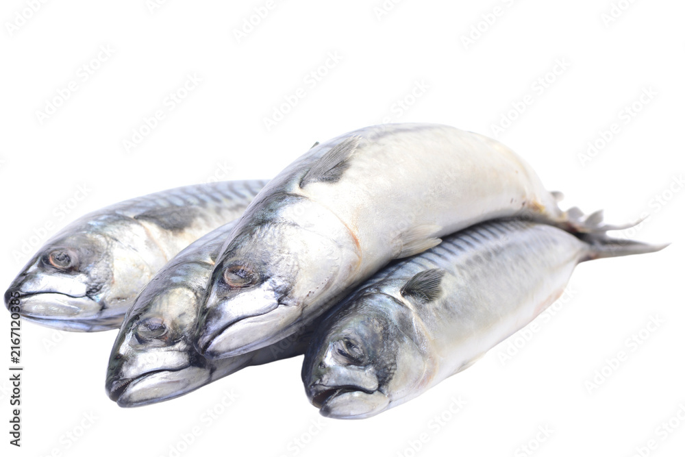 Fototapeta premium Fresh fish mackerel on white background