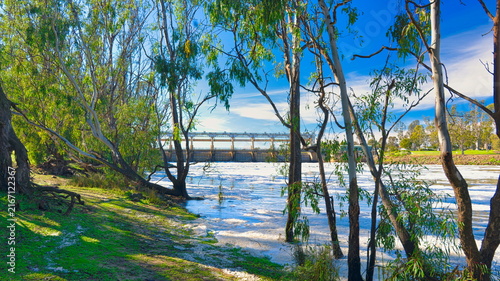 Fotografie Mulwala weir viewed through Murray River red gums