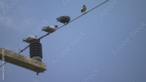 Foto The image depicts a clear sky with a few clouds, featuring a utility pole and a