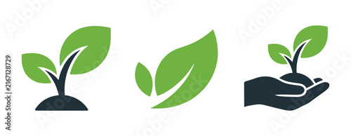 Growing Green: A collection of simple, modern icons representing plant growth and nurturing. new life, sprout, sustainability, care.