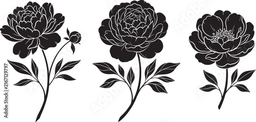 Black Silhouette Set of Single Rose Stems with Leaves