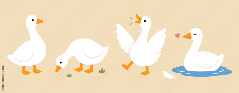 Obraz premium Cute white goose and duck character set in different poses, farm animal illustration