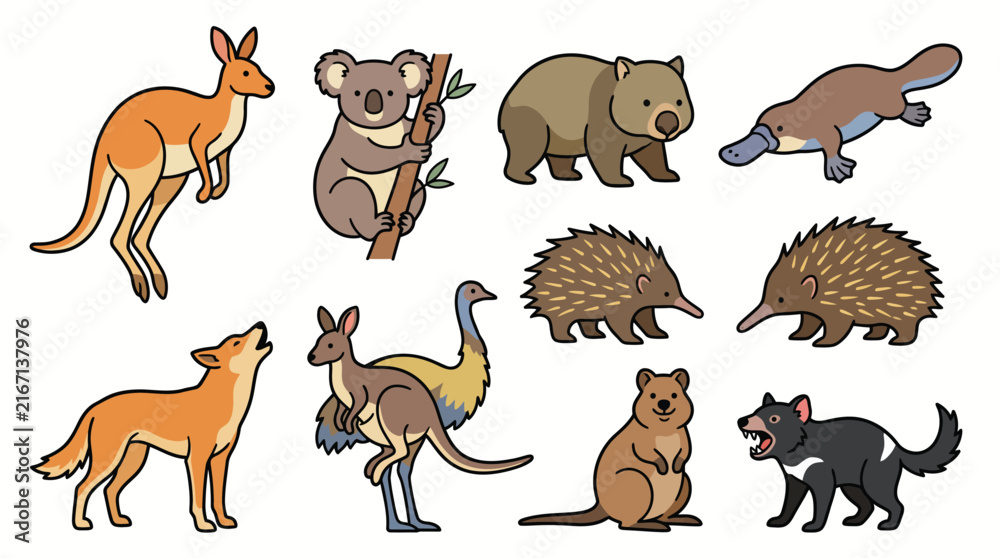 Obraz premium Australian Animals Colorful Vector Illustration Set
