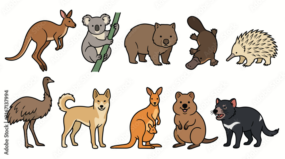 Fototapeta premium Australian Wildlife Minimalist Vector Collection