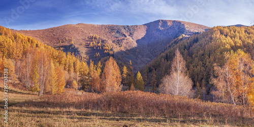 Panoramic fall view, mountain scenery, peaks and forest