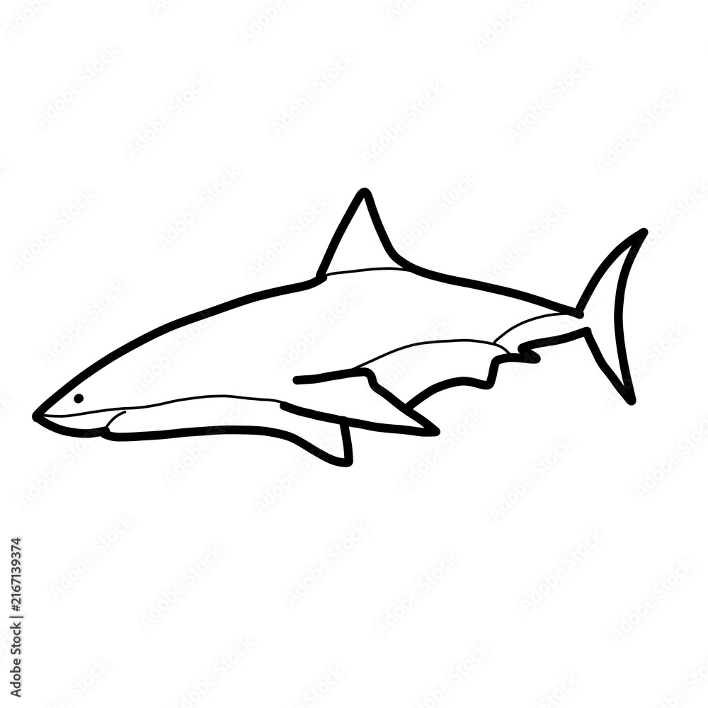 Obraz premium Great white shark Australia Animal Habitat Hand drawn Organic line 