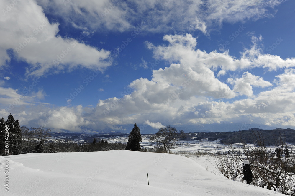 Fototapeta premium 長野県飯綱の雄大な雪原と青空に浮かぶ白い雲