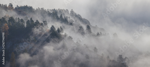 Autumn forest in fog, forested hill, aerial view