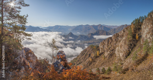 Autumn view, colorful vegetation and fog