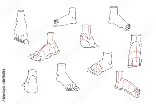 Feet form with human anatomical structure