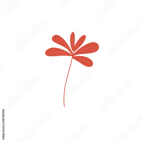Plant 7 