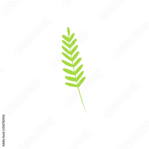 Plant 6 
