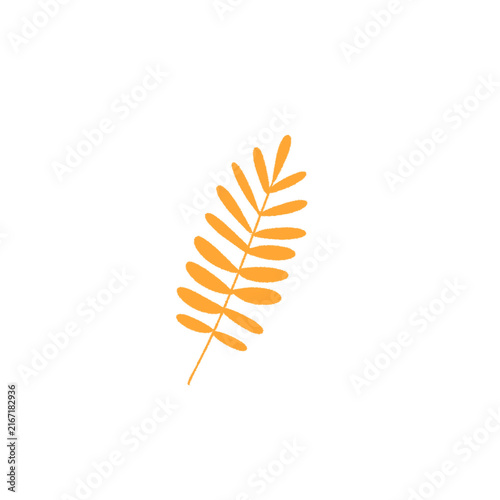 Plant 5 