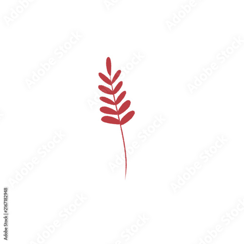 Plant 4